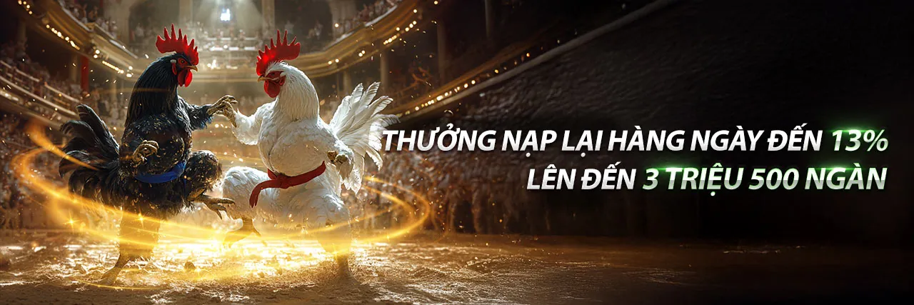 Đá gà trực tuyến hấp dẫn trên 799bet app